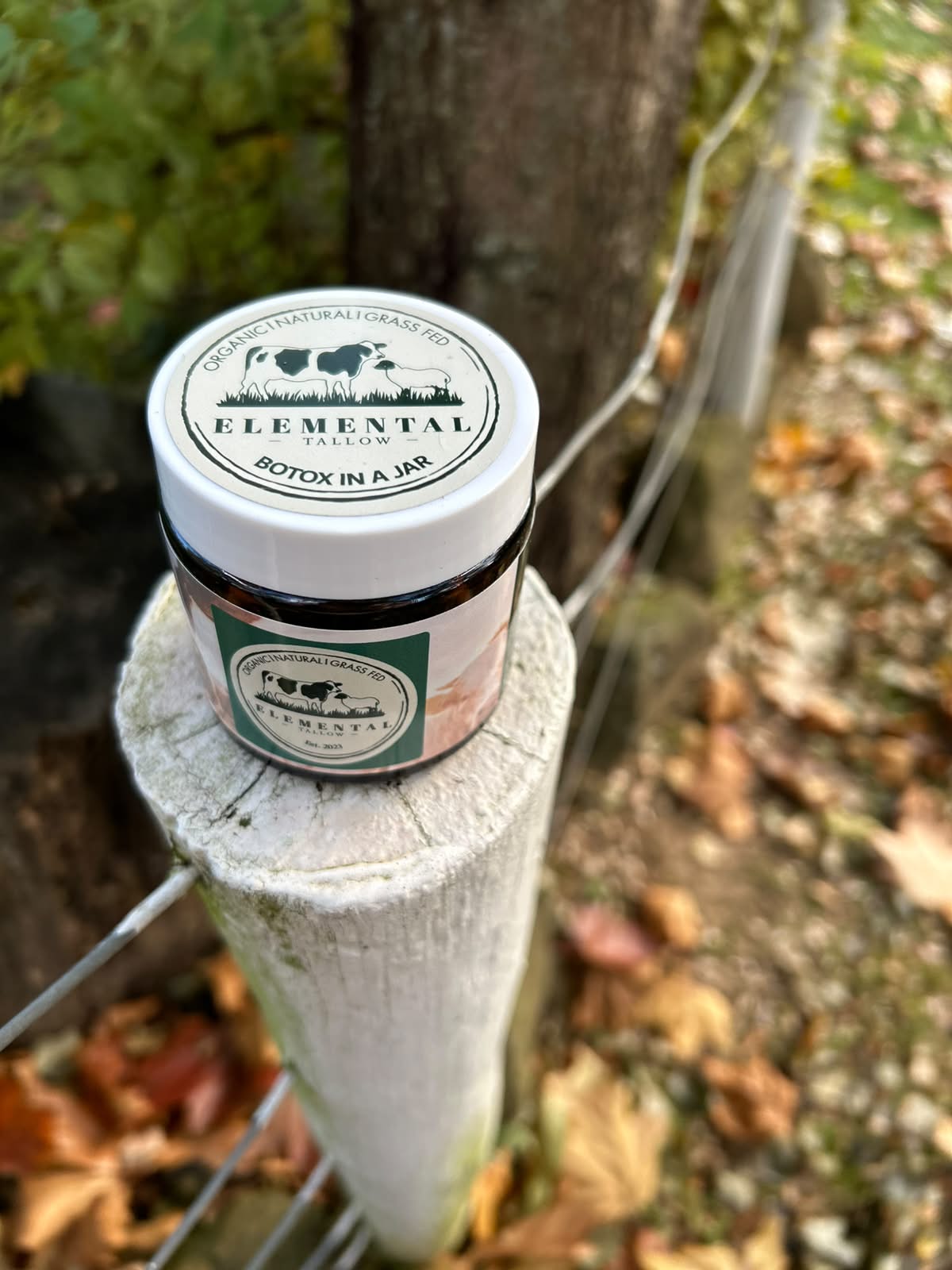 Botox In A Jar - Sheep Tallow