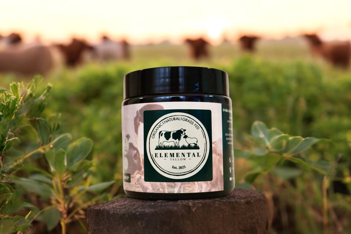 Rose Geranium & Lavender - Beef Tallow