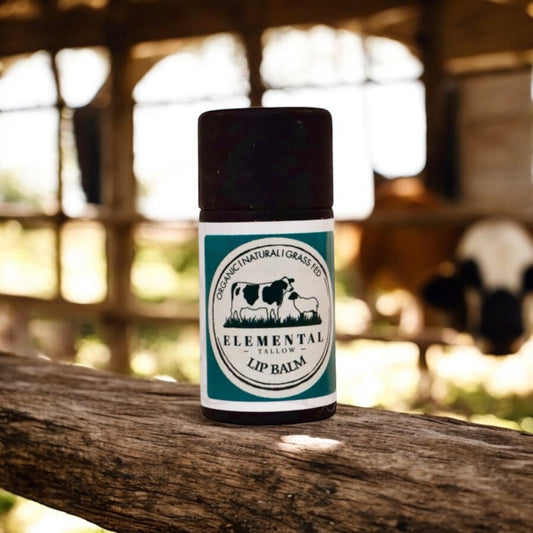 Biodegradable Lip Balm Stick